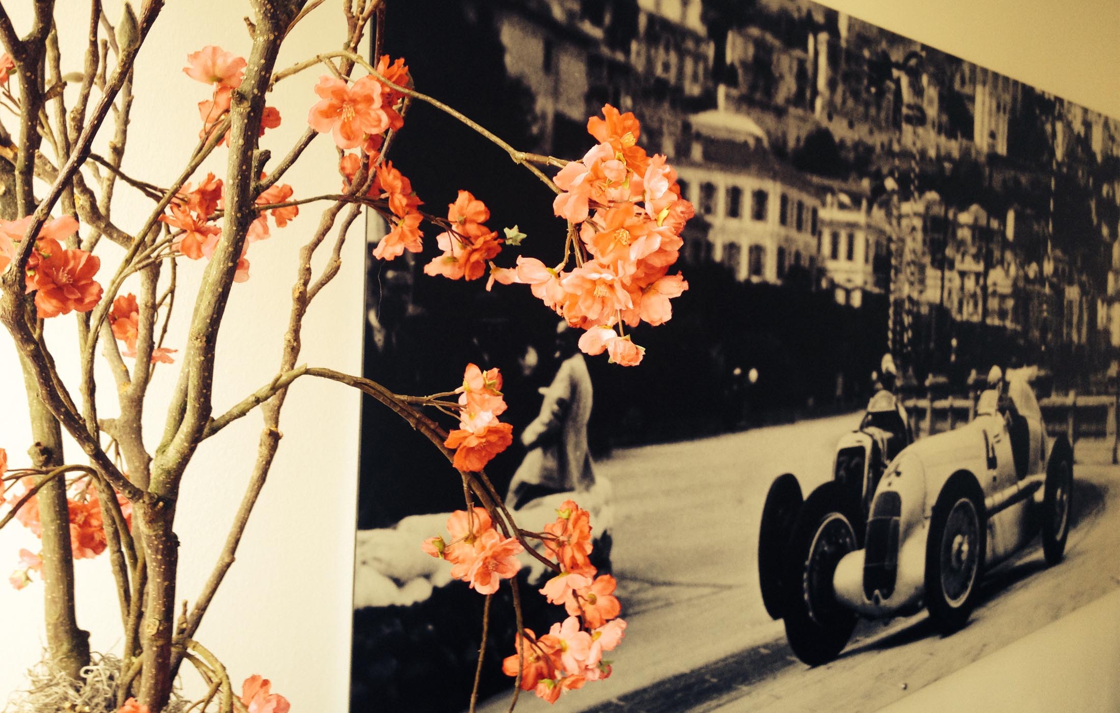 Blühender Ast im Vordergrund mit Rennsport-Fotografie im Hintergrund.